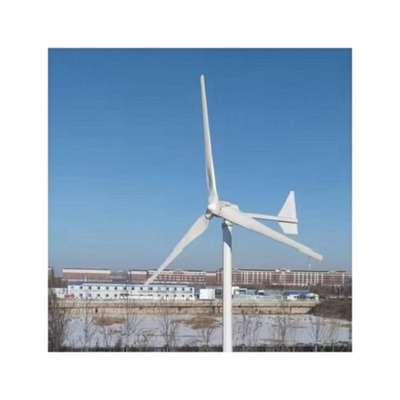 5KW/10Kw Личная домашняя ветряная турбина Усиленная стекловолокно лезвие